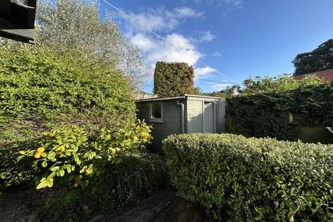 Photo of property in 19 Tawariki Street, Ponsonby, Auckland, 1021