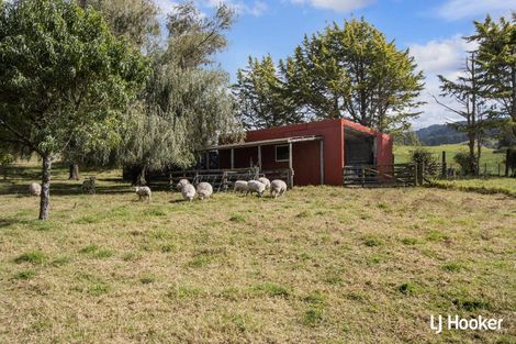 Photo of property in 325c Rea Road, Tahawai, Katikati, 3178