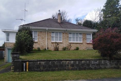 Photo of property in 65 Kensington Street, Putaruru, 3411