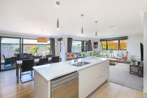 Photo of property in 26 Daelyn Drive, Richmond, 7020