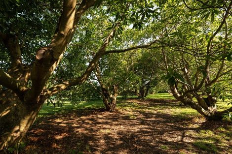 Photo of property in 10a Bridgman Lane, Tanners Point, Katikati, 3177