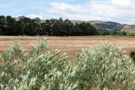 Photo of property in 19 Catalina Crescent, Forrest Hill, Auckland, 0620