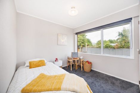 Photo of property in 48 Ruawai Road, Feilding, 4702