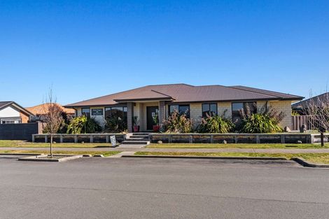 Photo of property in 39 Pegasus Main Street, Pegasus, 7612