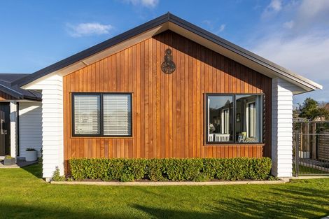 Photo of property in 23 Tarata Grove, Lansdowne, Masterton, 5810