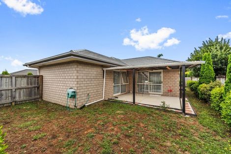 Photo of property in 12 Trauzer Place, Flagstaff, Hamilton, 3210