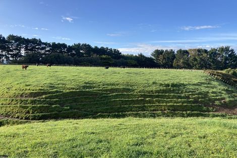 Photo of property in 192 Cole Road, Rongotea, Palmerston North, 4476