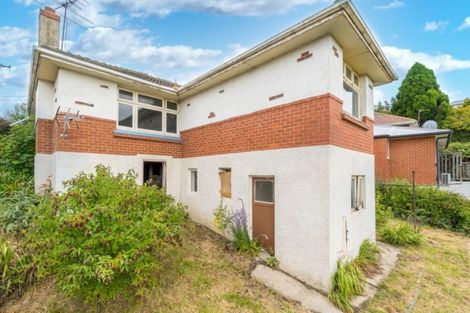 Photo of property in 115 Riselaw Road, Calton Hill, Dunedin, 9012