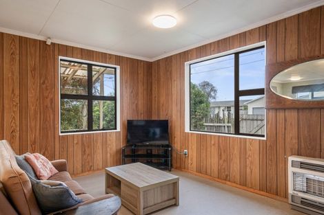 Photo of property in 24 Trafalgar Street, Levin, 5510