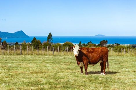 Photo of property in 585 Ormiston Road, Ruakaka, Waipu, 0582