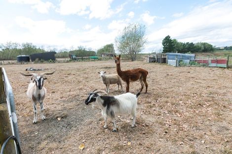 Photo of property in 2/82 Station Road, Takapau, Waipukurau, 4281