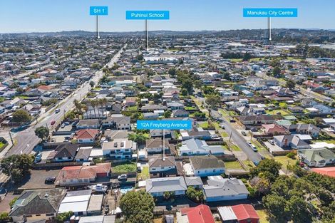 Photo of property in 12a Freyberg Avenue, Papatoetoe, Auckland, 2104