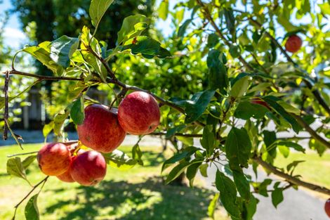 Photo of property in 3 Turanga Street, Kaiti, Gisborne, 4010