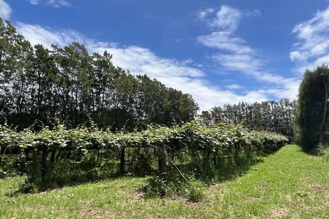 Photo of property in 123 Wiroa Road, Kerikeri, 0293