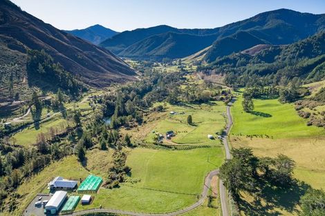 Photo of property in 532 Wakamarina Road, Wakamarina, Havelock, 7178