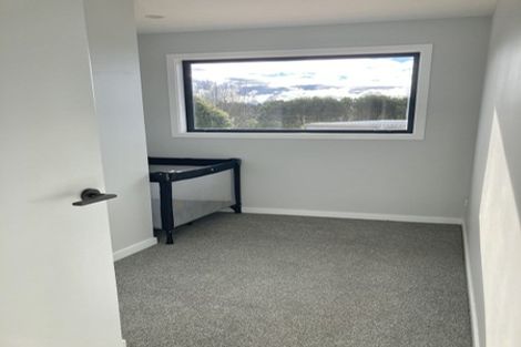 Photo of property in 23 Leicester Street, Hampden, 9410