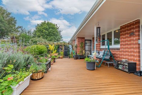 Photo of property in 40 Graham Street, Levin, 5510