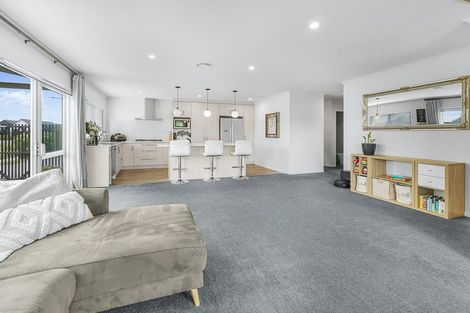 Photo of property in 5 Naismith Street, Chartwell, Hamilton, 3210