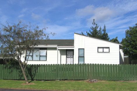 Photo of property in 4 Hinerau Street, Henderson, Auckland, 0612