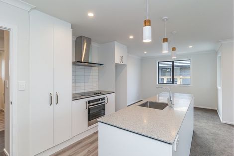 Photo of property in 71b Hinemoa Street, Levin, 5510