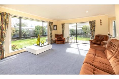 Photo of property in 44a Donegal Street, Belfast, Christchurch, 8051