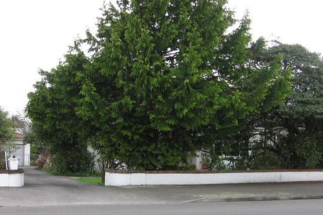 Photo of property in 509 Ferguson Street, Palmerston North, 4410