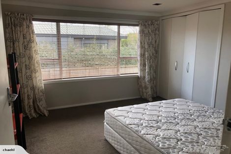 Photo of property in 33 Edinburgh Road, Hillcrest, Hamilton, 3216