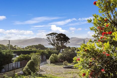 Photo of property in 930 Harington Point Road, Harington Point, Dunedin, 9077