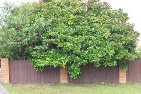 Photo of property in 23 Matuhi Rise, Henderson, Auckland, 0612