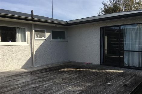 Photo of property in 3/45 Manson Street, Terrace End, Palmerston North, 4410