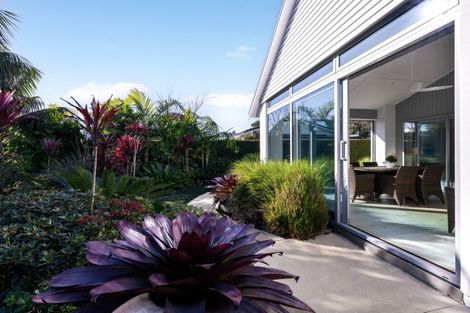 Photo of property in 8 Point Wells Road, Point Wells, Warkworth, 0986