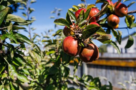 Photo of property in 143 Oxford Street, Ashhurst, 4810