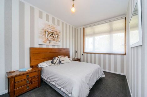 Photo of property in 93 Shamrock Street, Takaro, Palmerston North, 4412