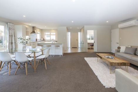 Photo of property in 44 Condell Avenue, Papanui, Christchurch, 8053