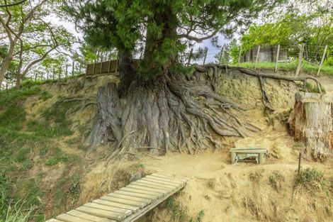 Photo of property in 10 Tukituki Road, Ashley Clinton, Takapau, 4286