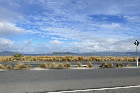 Photo of property in 219 The Esplanade, Petone, Lower Hutt, 5012