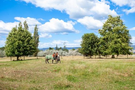 Photo of property in 191 Taihoa Road South, Matamata, 3473