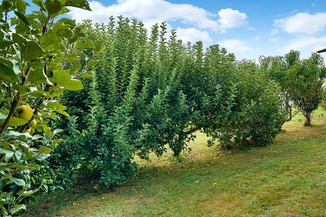 Photo of property in 5 Clothier Road, Karamu, Hamilton, 3285