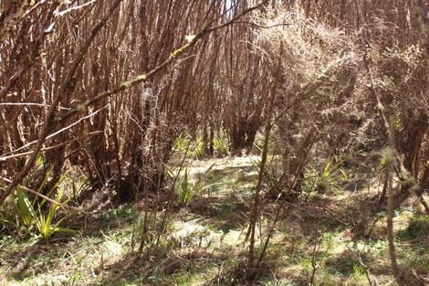 Photo of property in 15/133 Matapuna Road, Horopito, Raetihi, 4696