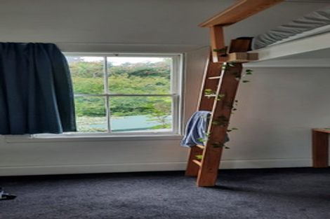 Photo of property in 22 Aro Street, Aro Valley, Wellington, 6021