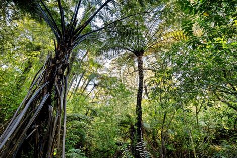 Photo of property in 193c Lindemann Road, Tahawai, 3170
