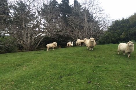 Photo of property in 2 Booth Road, Glenleith, Dunedin, 9010