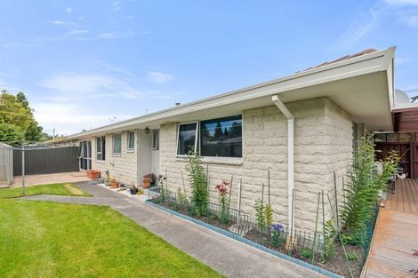 Photo of property in 6 Lagan Street, Belfast, Christchurch, 8051