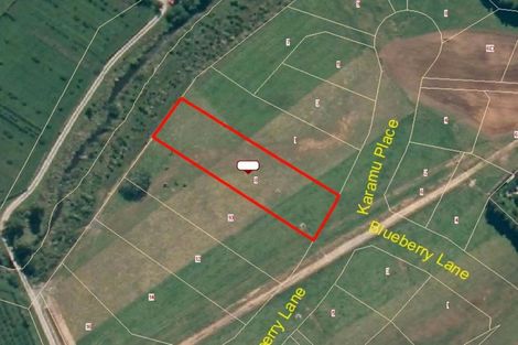 Photo of property in 8 Blueberry Lane, Waihi, 3682