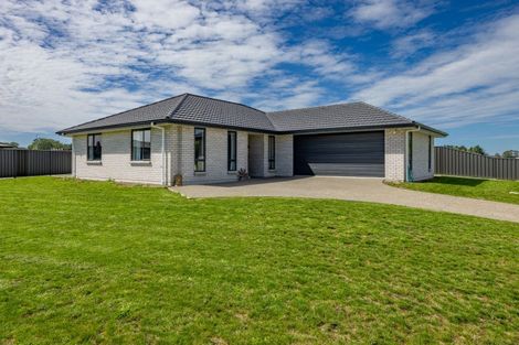 Photo of property in 92 Belgrove Drive, Waipukurau, 4200