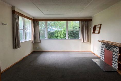 Photo of property in 29 Vivian Street, Solway, Masterton, 5810