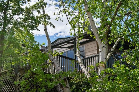 Photo of property in 12 Ness Street, Naseby, 9396