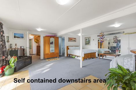 Photo of property in 87 Warren Road, Raglan, 3295