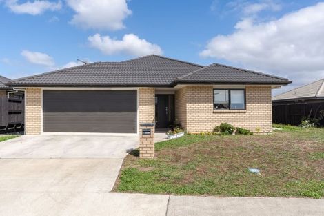 Photo of property in 16 Briannarose Drive, Fitzroy, Hamilton, 3206
