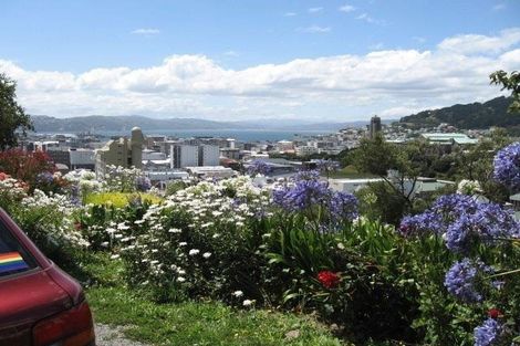 Photo of property in 16 Anderson Terrace, Mount Cook, Wellington, 6021